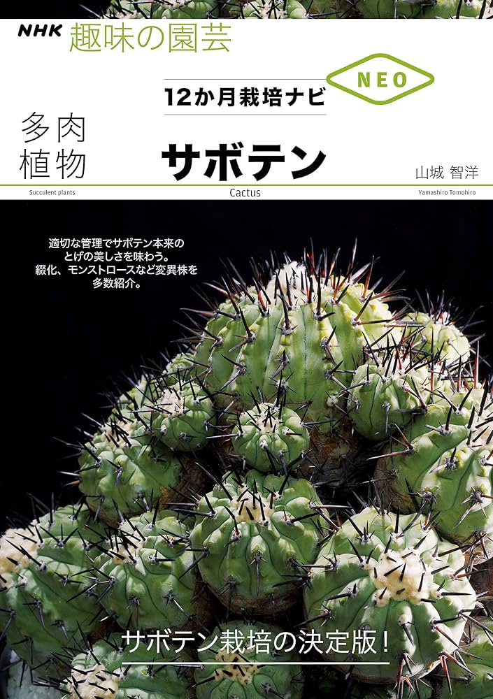 多肉植物 サボテン (NHK趣味の園芸 12か月栽培ナビNEO) | 山城 智洋