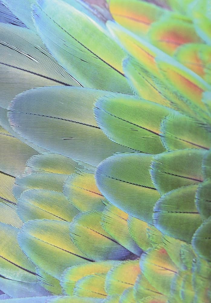 ヴォート基礎生化学(第4版) | D. Voet, J. G. Voet, C. W. Pratt, 田宮