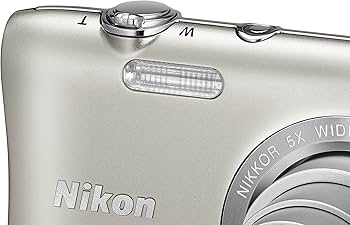 Nikon COOLPIX S2900 Digital Camera (Silver) - International