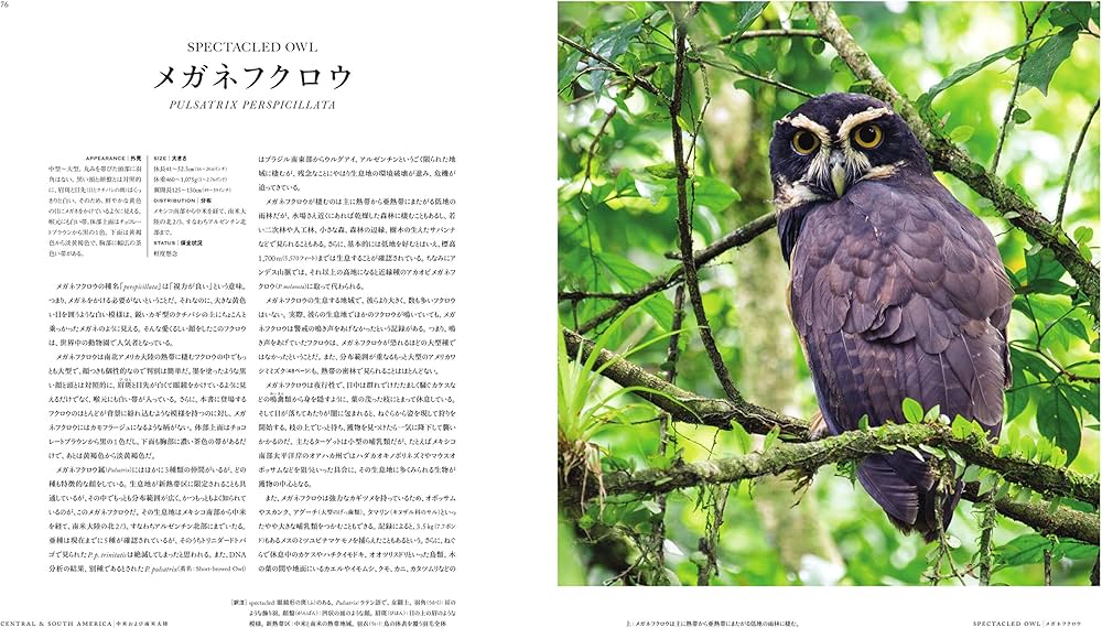 91tAI9n7c1L._AC_UF1000,