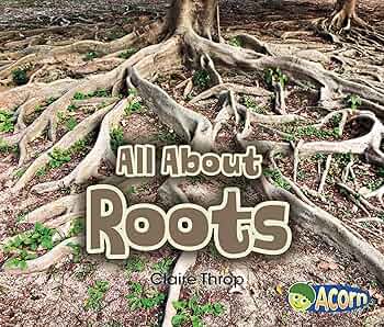 91tB-owpeWL._AC_UF350,