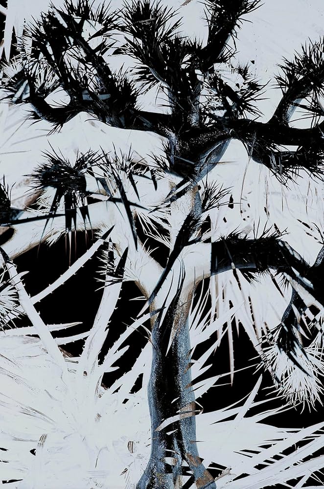 Amazon.co.jp: 【メーカー特典あり】Plastic Tree [完全生産限定盤