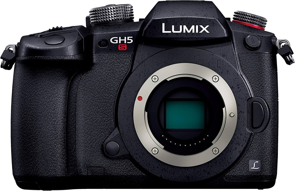 Amazon.co.jp: パナソニック ミラーレス一眼カメラ ルミックス GH5S