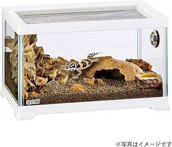 Amazon.co.jp: エキゾテラ GEX EXOTERRA レプテリア レオパ飼育キットS