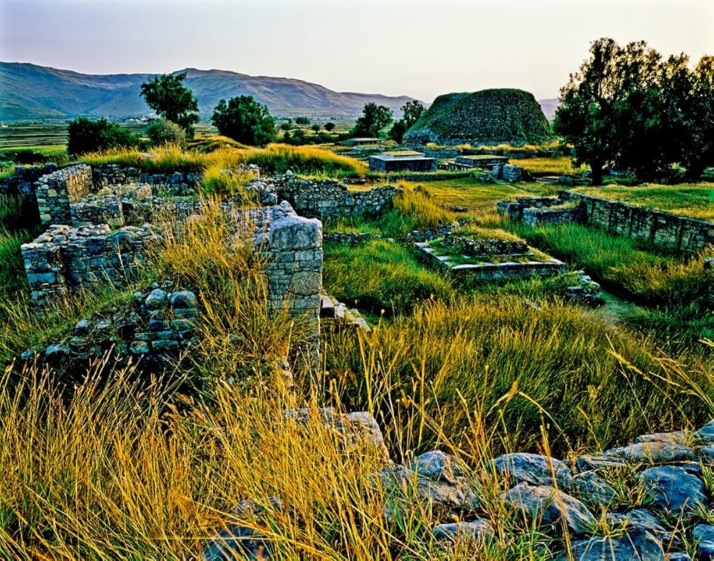 91HRLhg2F6L._AC_UF1000,