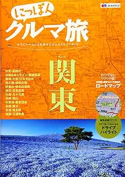 91Hd-yCpOUL._AC_UF350,