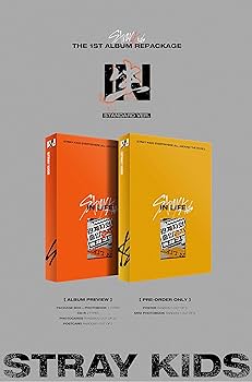 Stray Kids - IN生 (in Life) [Standard Ver. - B Type] (1st Album
