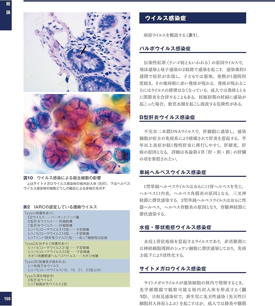 解明 病理学 第3版 病気のメカニズムを解く | 青笹克之, 加藤光保