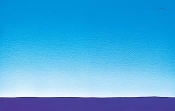 91KUSCSJFnL._AC_UF350,