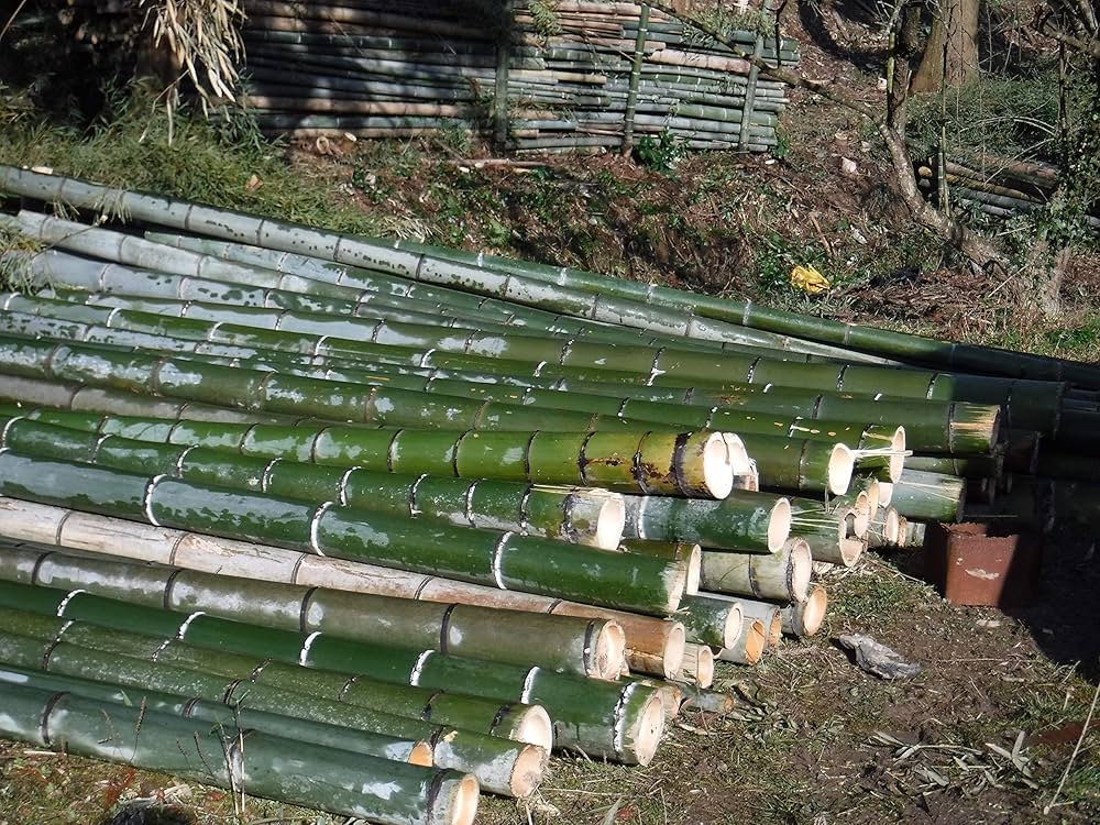 Amazon.co.jp: カブトムシマット：発酵熟成竹：成虫・幼虫飼育用