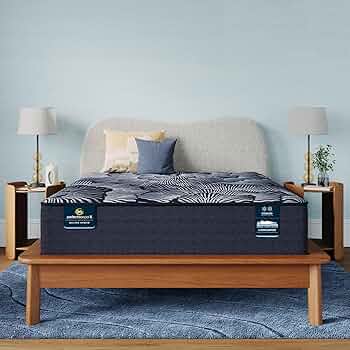 Amazon.com: Serta Perfect Sleeper X - Knox 13.75
