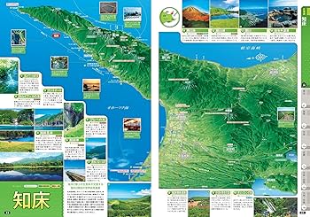 91NWaTpihML._AC_UF350,