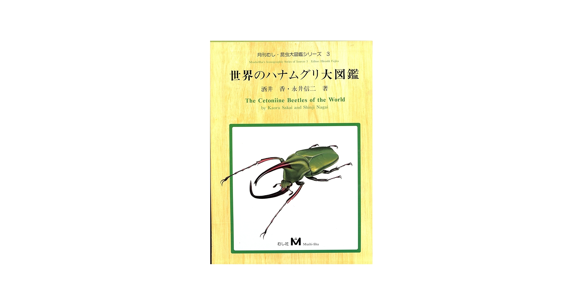 91QEwTl1MgL.jpg_BO30,255,255,