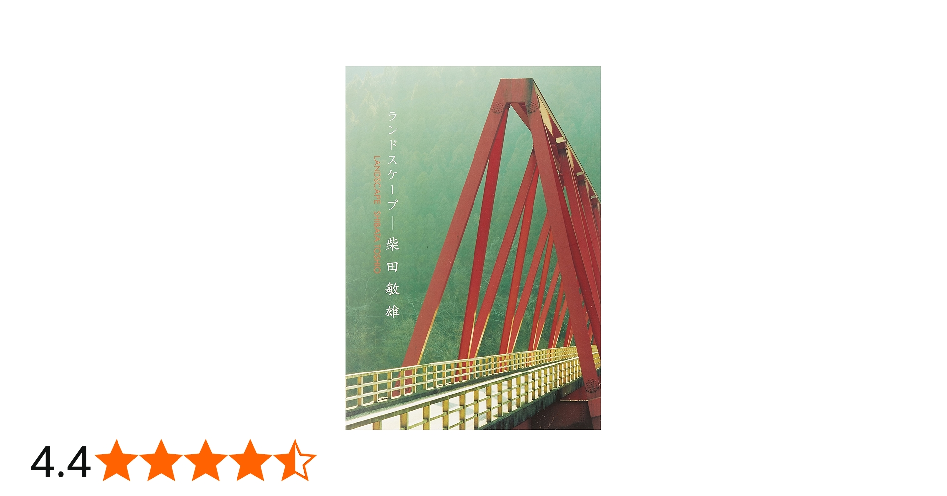 Amazon.co.jp: ランドスケープ柴田敏雄 : 柴田 敏雄: 本