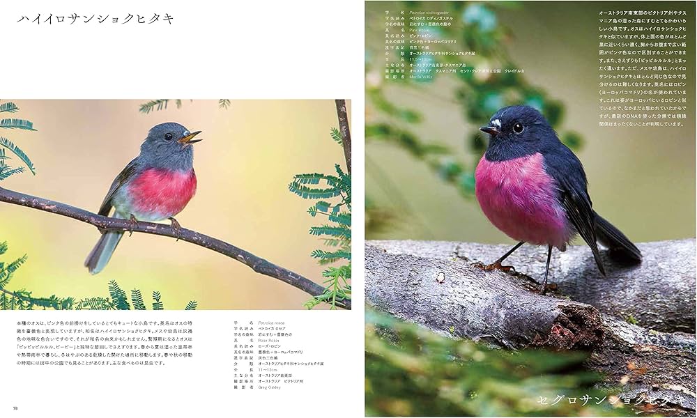 世界の原色の鳥図鑑 | 川上和人, 柴田 佳秀 |本 | 通販 | Amazon