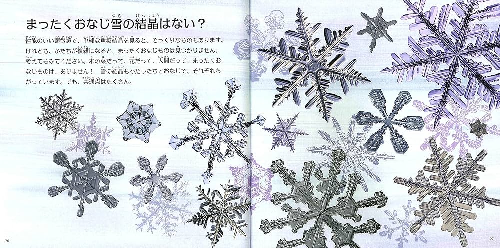Amazon.co.jp: 雪の結晶ノ-ト : マーク カッシーノ, ジョン ネルソン