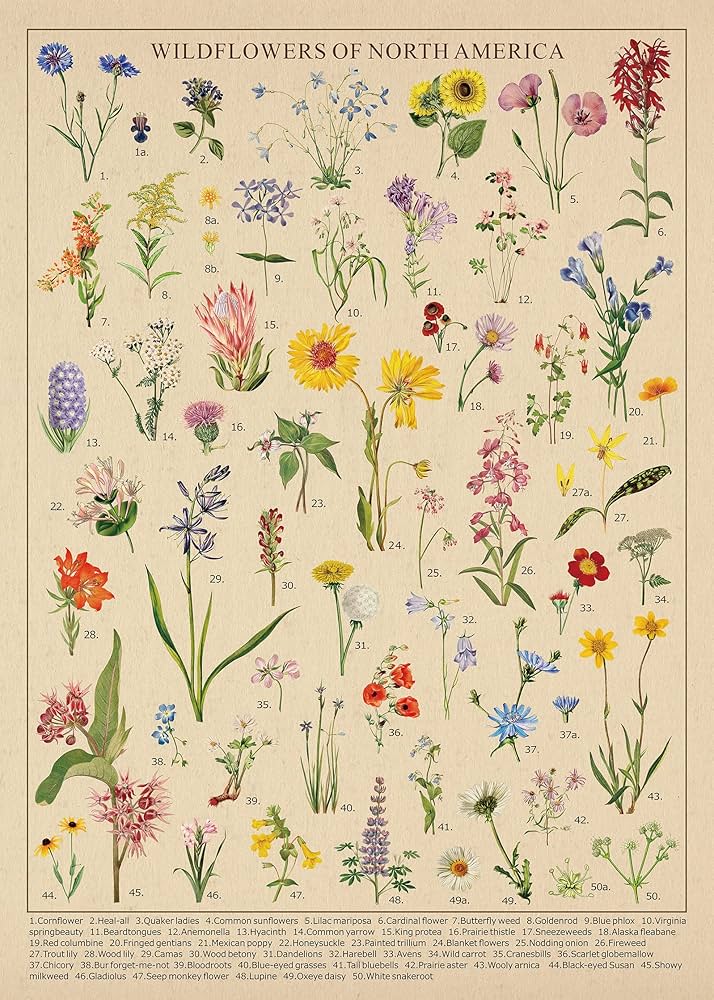 91a3WeGhO-L._AC_UF894,