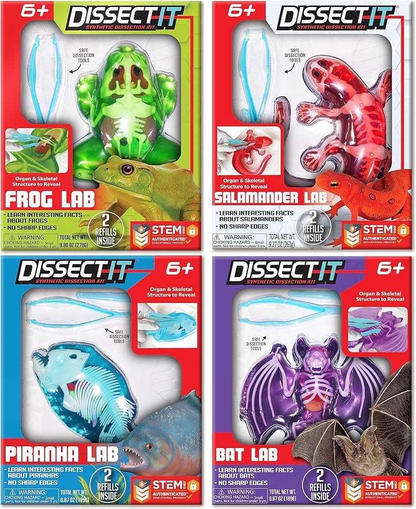 Amazon.com: Dissect-It Kit for Kids, Synthetic Dissection Kids