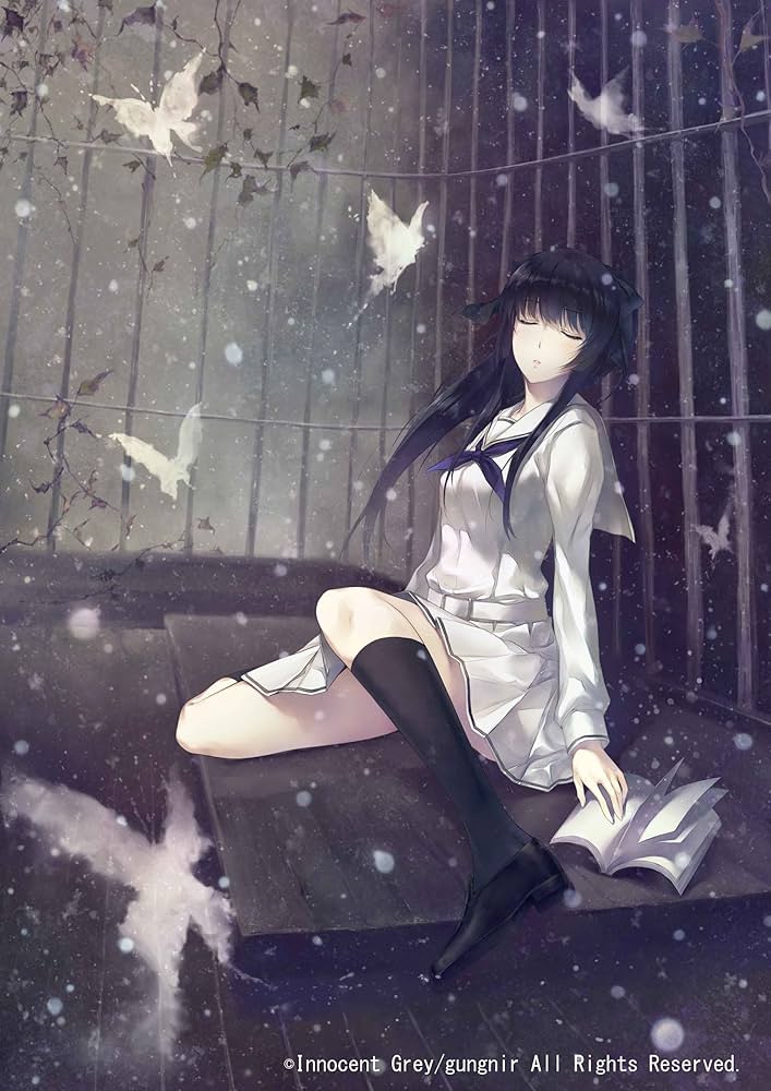 Amazon.co.jp: 虚ノ少女 初回限定版 : Software