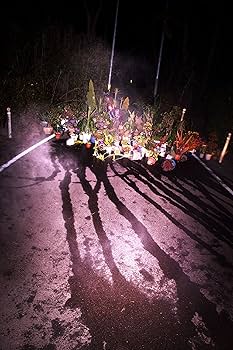 Amazon.co.jp: 螺旋海岸 album : 志賀理江子: 本