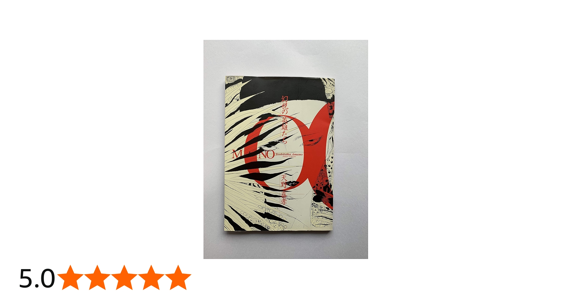 Amazon.co.jp: 幻視の英雄たち: MONO : 天野 喜孝: 本