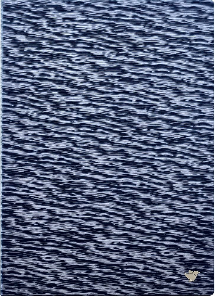 Amazon.co.jp: iFLYTEK AINOTE 2 電子ノート用 ケースカバー 10.65