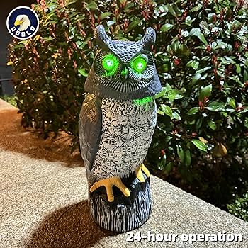 91jG2YPIQpL._AC_UF350,