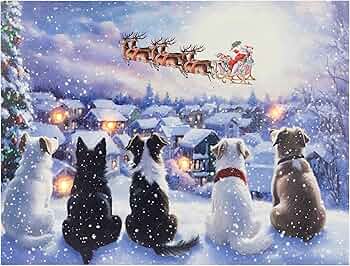 91kqioa55uL._AC_UF350,