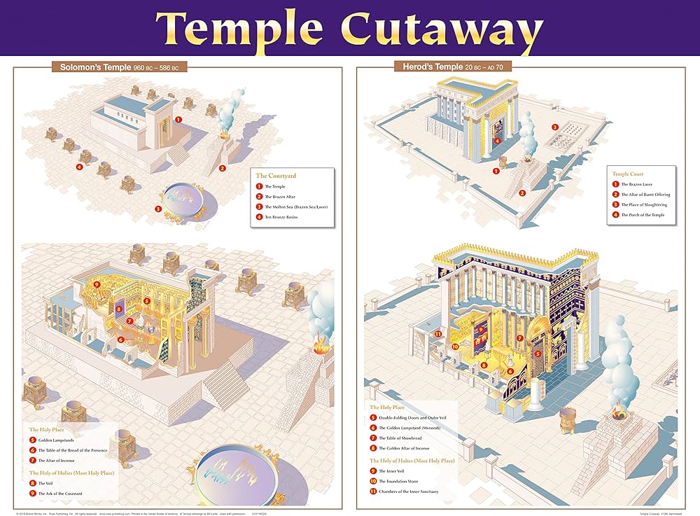 Temple Cutaway Wall Chart: Rose Publishing: 9781628623505: Amazon