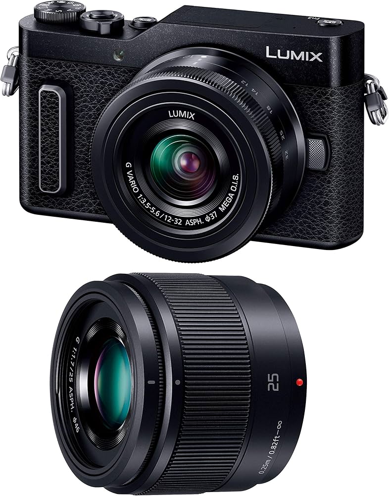 Amazon.co.jp: Panasonic Mirrorless Single Lens Camera Lumix GF10