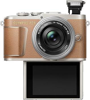Amazon | OLYMPUS ミラーレス一眼 PEN E-PL9 ダブルズームキット