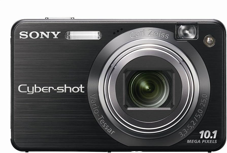 Amazon.com : Sony Cybershot DSCW170/B 10.1MP Digital Camera with