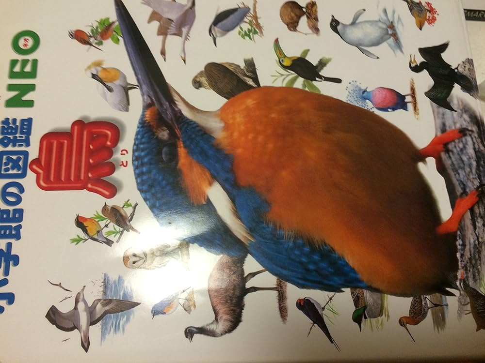 小学館の図鑑NEO 鳥 | 上田 恵介, 柚木 修 |本 | 通販 | Amazon