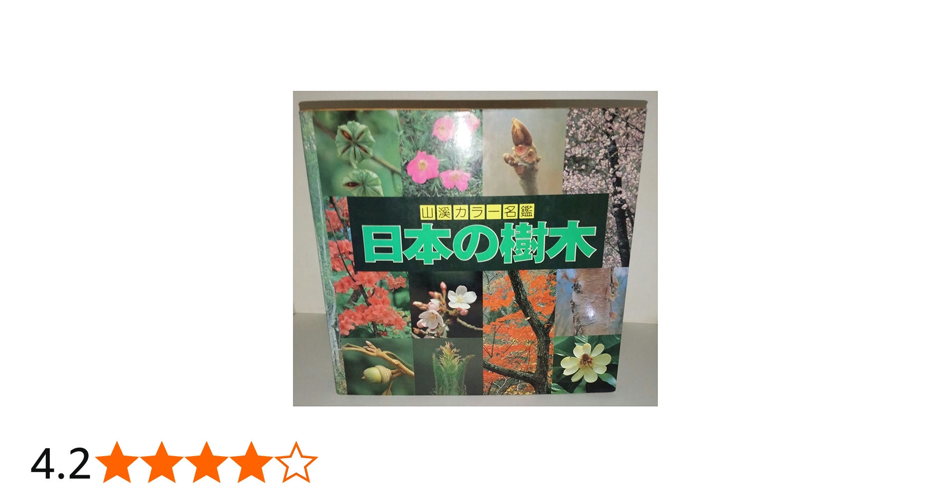 日本の樹木 (山渓カラー名鑑) | 林 弥栄 |本 | 通販 | Amazon