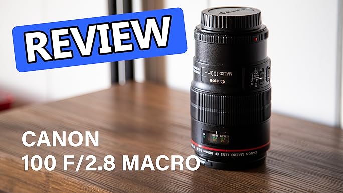 Amazon.com : Canon EF 100mm f/2.8L is USM Macro Lens for Canon