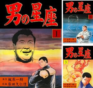 プロレススーパースター列伝【デジタルリマスター】 (全17巻) Kindle版