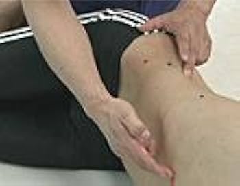 Amazon.co.jp: PNFの治療技術：臨床応用編1～PNFの最新理論と腰痛への