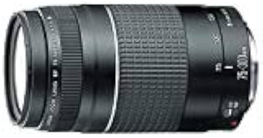 Amazon.com : Canon EF 75-300mm f/4-5.6 III Telephoto Zoom Lens