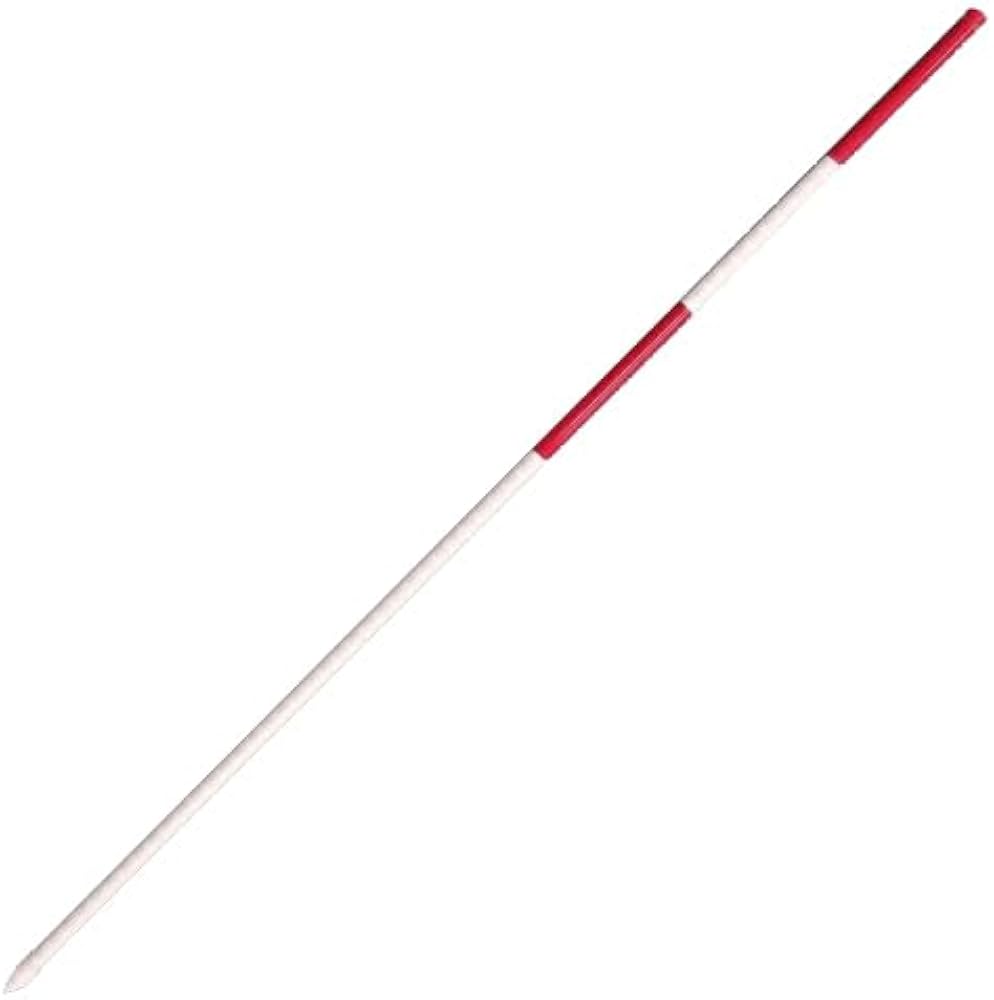 Amazon.co.jp: OBARI PPエコ スノーポール 赤反射 2m 剣先付 冬道の