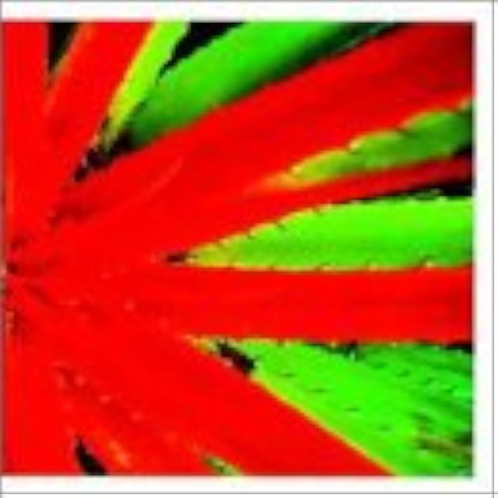 Amazon.co.jp: This Afternoon Malady: ミュージック