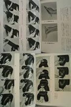 Amazon.co.jp: 大判 山田雅道の日本髪 2冊1.髪型と基礎理論編、2.結髪