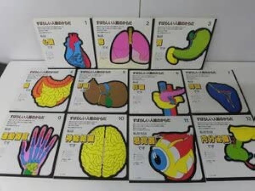 Amazon.co.jp: すばらしい人間のからだ 全12巻の8なしの11冊セット