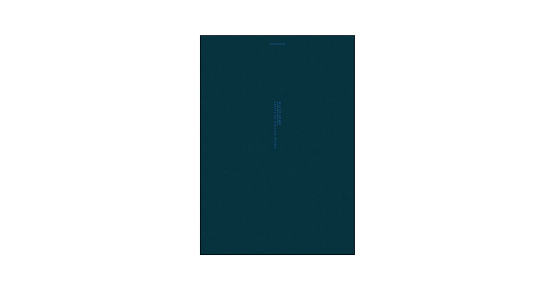 Amazon | Waist Down: Skirts by Miuccia Prada | Prada, Miuccia