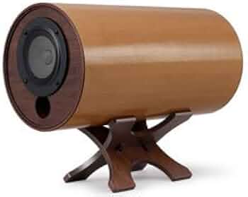 310GBmRNWuL._AC_UF350,