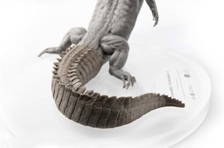 Amazon.co.jp: BACALYSO | EVO 1/8 サイズ ワニ 鰐 フィギュア 25cm級