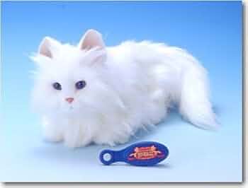 Amazon.co.jp: 夢ねこ(ホワイト) : おもちゃ