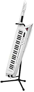 31AbkdubKCL._AC_UF350,