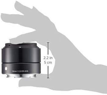 Amazon.com : Sigma 19mm F2.8 EX DN Art (Black) for Sony SE