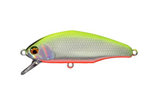 Dインサイトのおすすめカラー8選！Dコンとの違いは？ – Fish Paradise