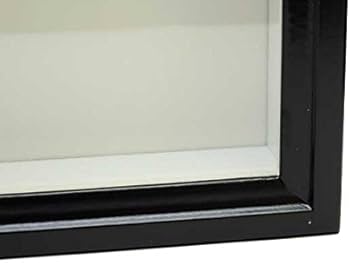 Amazon | 大型ドイツ型標本箱（黒） | 生態・採集 | おもちゃ